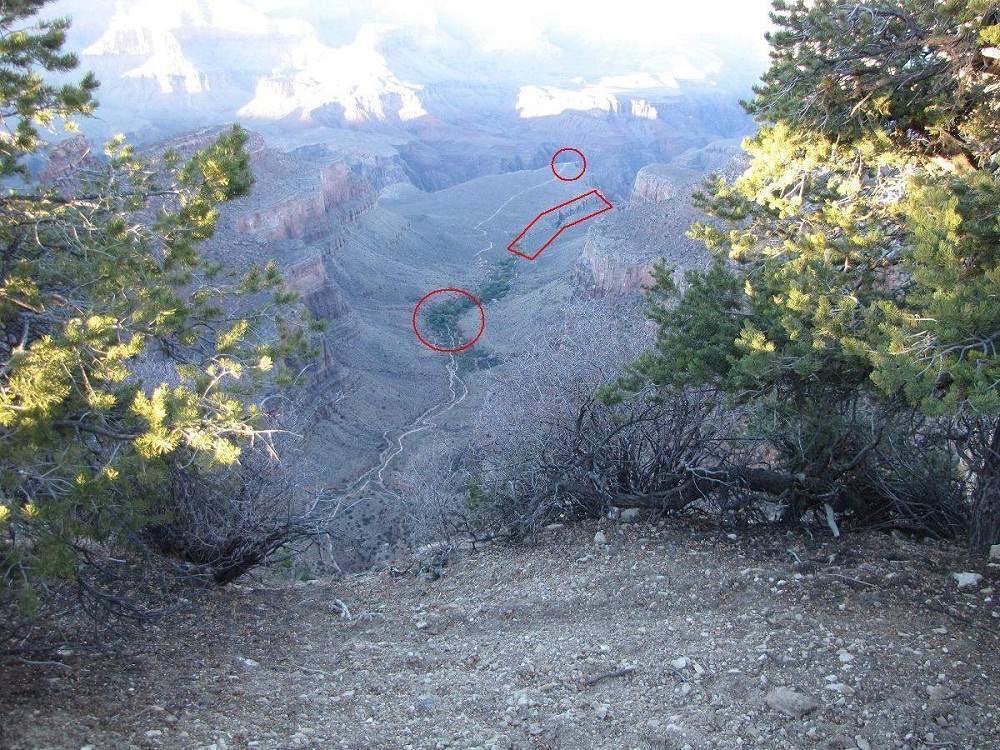 Grand Canyon - Die Trails