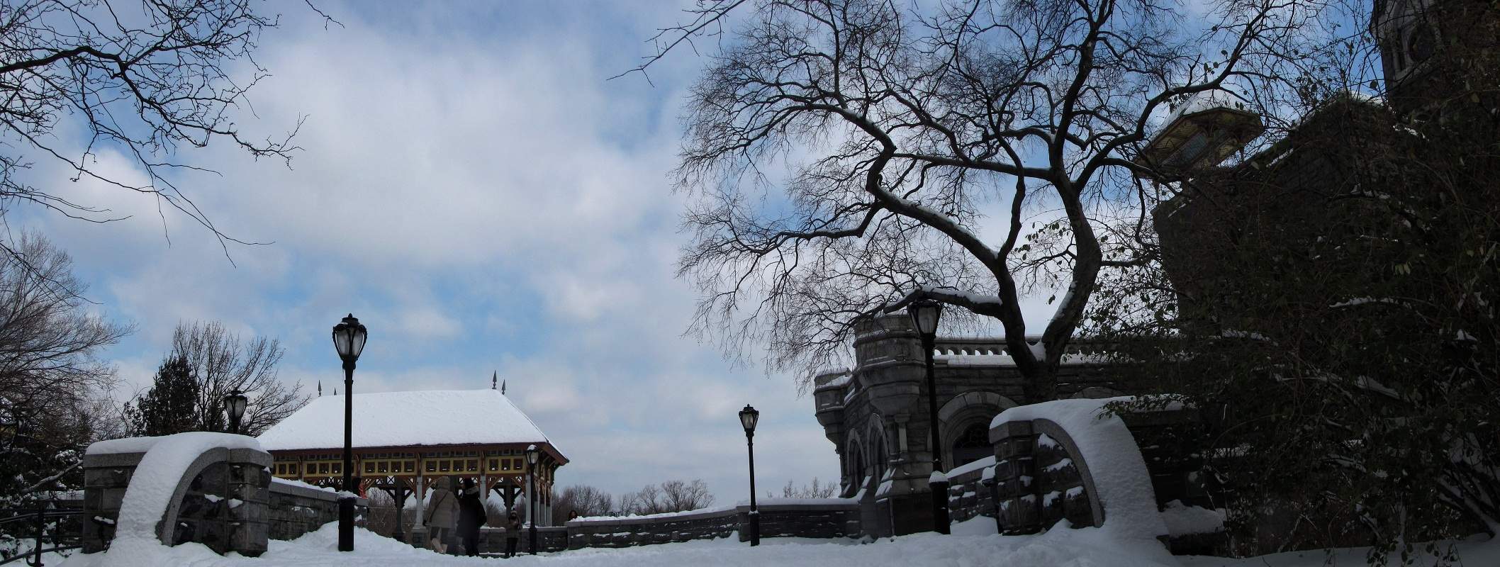 Central Park Panorama